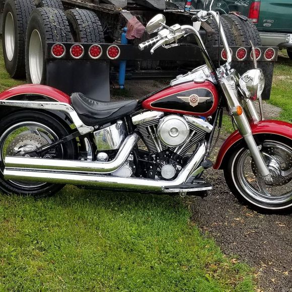 Meet your Posher, Brad - Picture 1 of 1